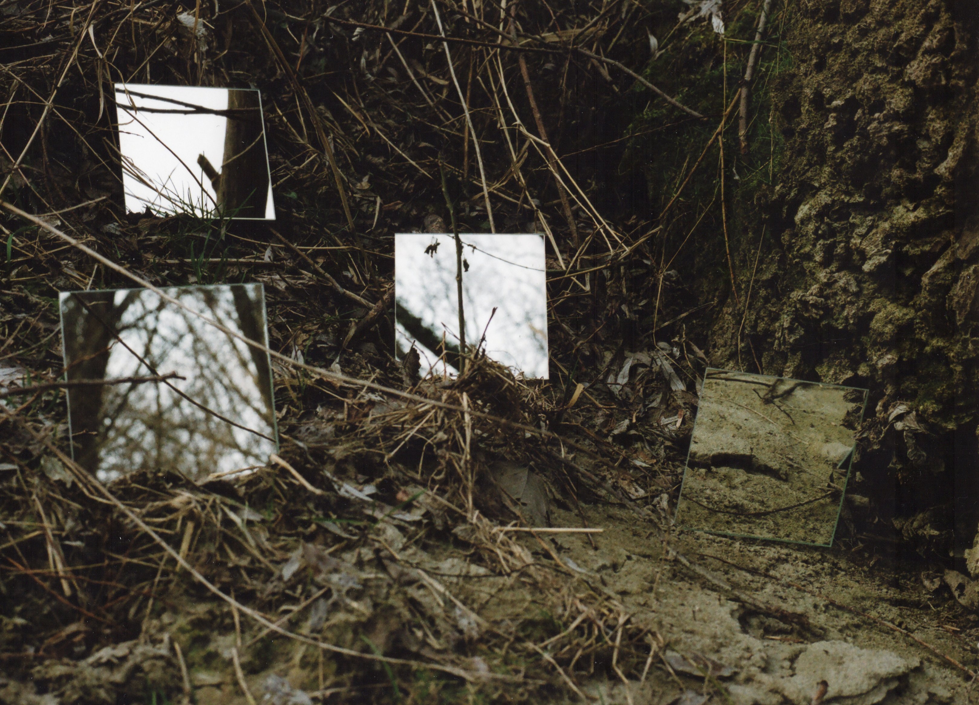 polwechsel field cover